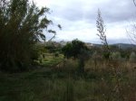 DSC04463.JPG