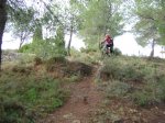 DSC04478.JPG