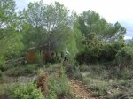 DSC04483.JPG
