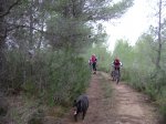 DSC04485.JPG