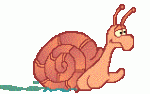 caracol12.gif