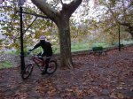 DSC04440.JPG