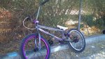 DSC00194 - copia.JPG