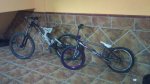 DSC00227 - copia.JPG
