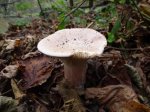P1070297_800x600.jpg