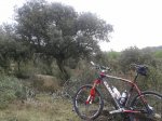 Boadilla alto.jpg