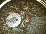 IMG-20111118-00298.jpg