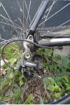 2011-11-21 13.54.59.jpg