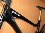 giant 013.jpg