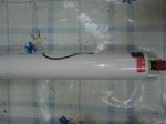 20112011178.jpg