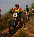 IMG_2433.JPG