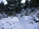 kdd huesca 064 (Small).jpg