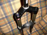 DSC00011 (Medium).JPG