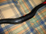 DSC00031 (Medium).JPG