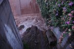 DSC_2199.JPG