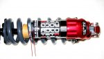 ROCCO4-2.jpg