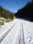 resized_51-SubidaPost-Comida.jpg