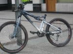bici txini (3).jpg