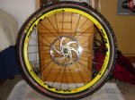 DSC05155.JPG