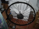 DSC01247.JPG