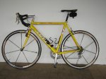 TREK 0182.jpg