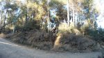 GOPR0354.MP4_snapshot_00.40_[2011.11.23_19.28.52].jpg