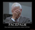 Facepalm-bilzu-paka-14.jpg