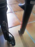 IMG_20111125_101200.jpg