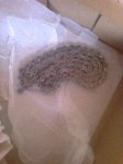 Foto0129.jpg