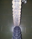 20111126_004123.jpg