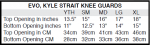 661 Kyle Strait sixe chart.png