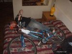 bicicletas785041298888373.jpg