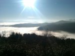 IMAG0142.jpg
