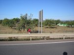 P1016004.JPG