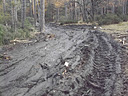 100_5695.JPG