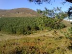 Imagen 013.jpg