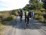 img1729y.jpg