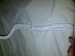 IMG-20111127-00488.jpg