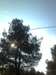 Imagen0692.jpg