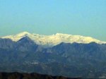 IMG_4414.jpg