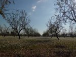 CIMG0757.JPG