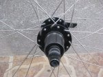 bontrager8.jpg