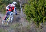 IMG_9276.JPG