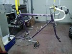 fixie 1_resize.jpg