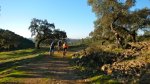DSCN0638.jpg