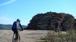 DSCN0679.jpg