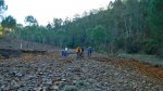 DSCN0697.jpg
