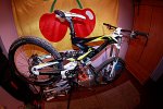 adgdg_MG_7259.JPG