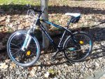 IMG_20111127_121237.jpg