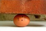egg1.jpg